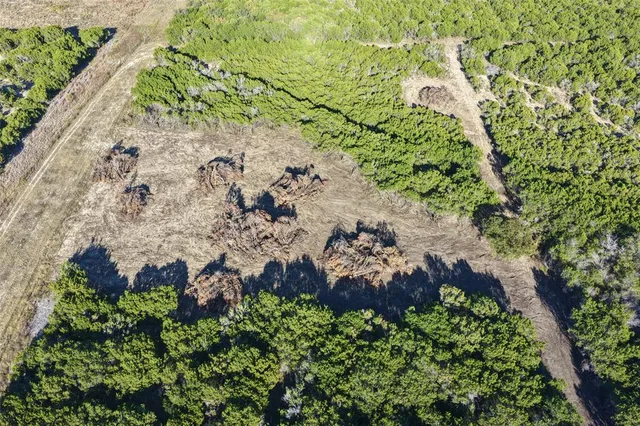 a aerial view of a yard with plants