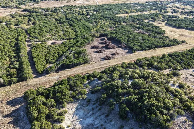 a view of a garden with a tree