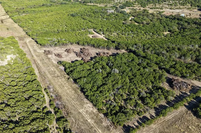 a view of a garden with a plant