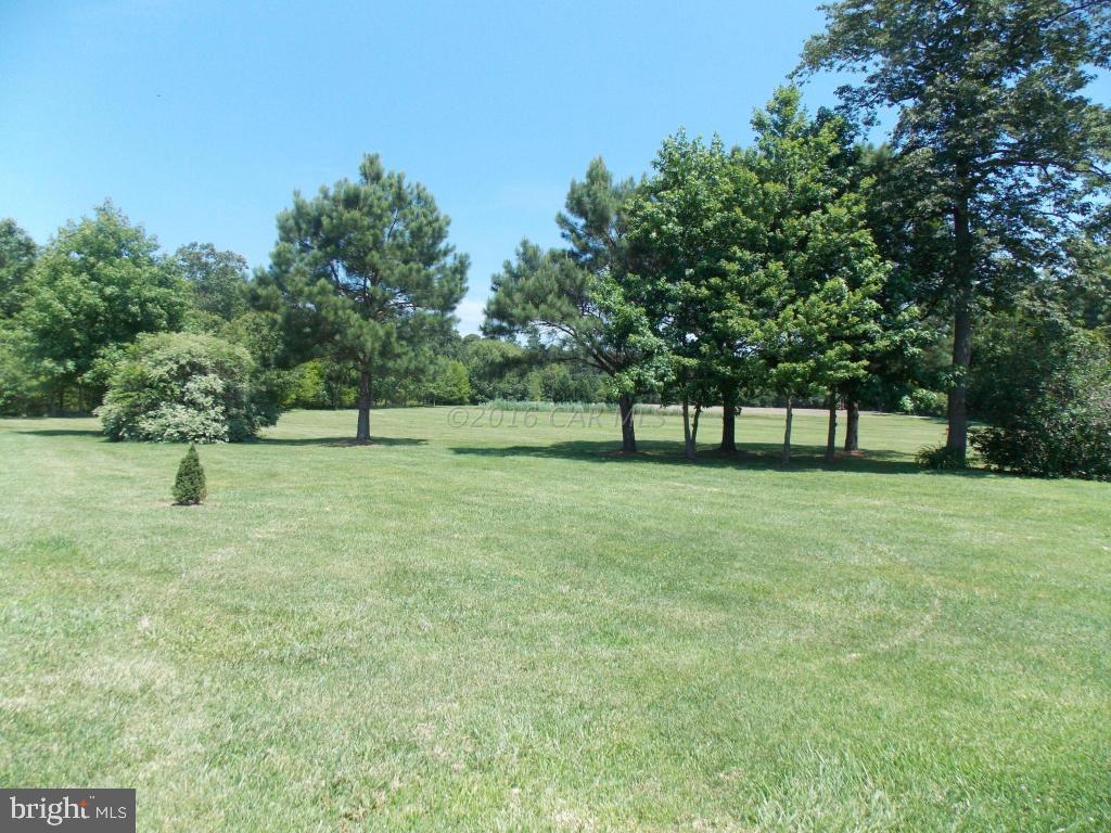 28665 Deal Island Road Princess Anne, MD 21853 - Photo 22 of 28