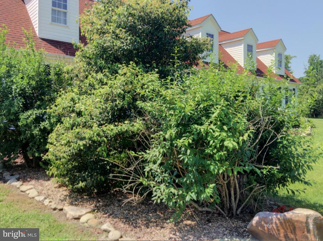 28665 Deal Island Road Princess Anne, MD 21853 - Photo 5 of 28