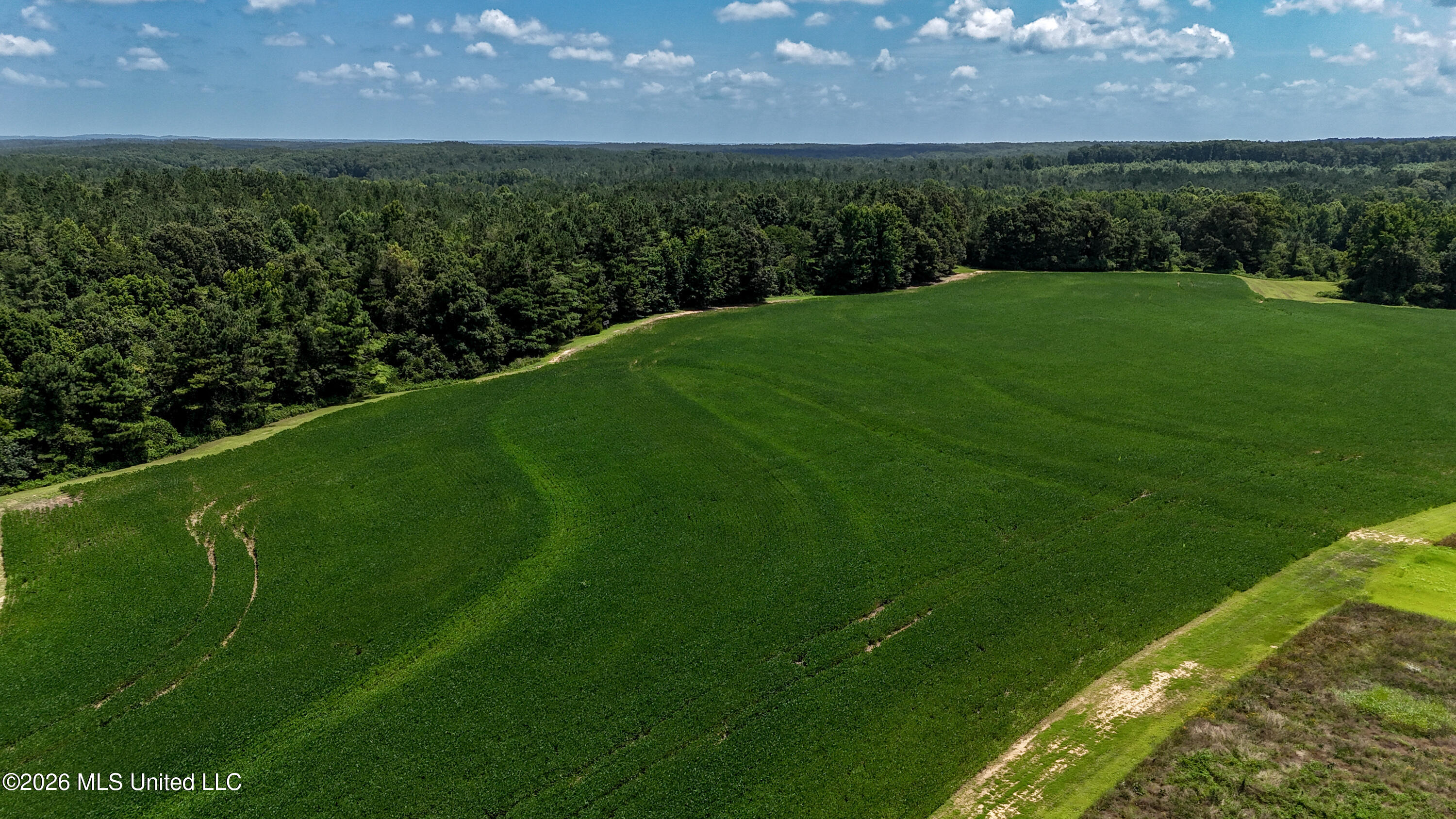 828 Little Egypt Road Ashland, MS 38603 - Photo 53 of 101 DJI_20260630115455_0319_D