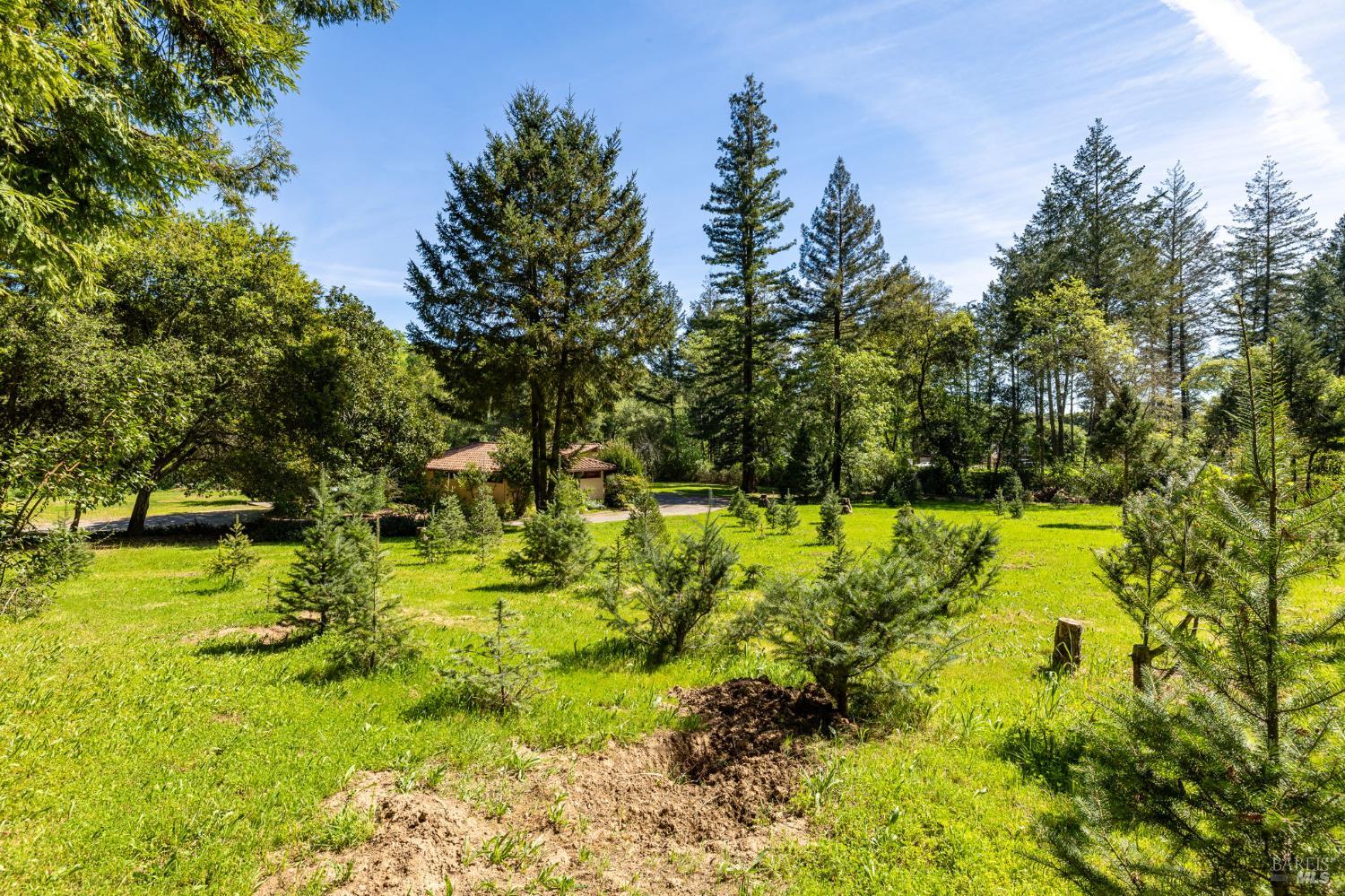 3320 Redwood Road Napa, CA 94558 - Photo 23 of 57 a view of yard with green space