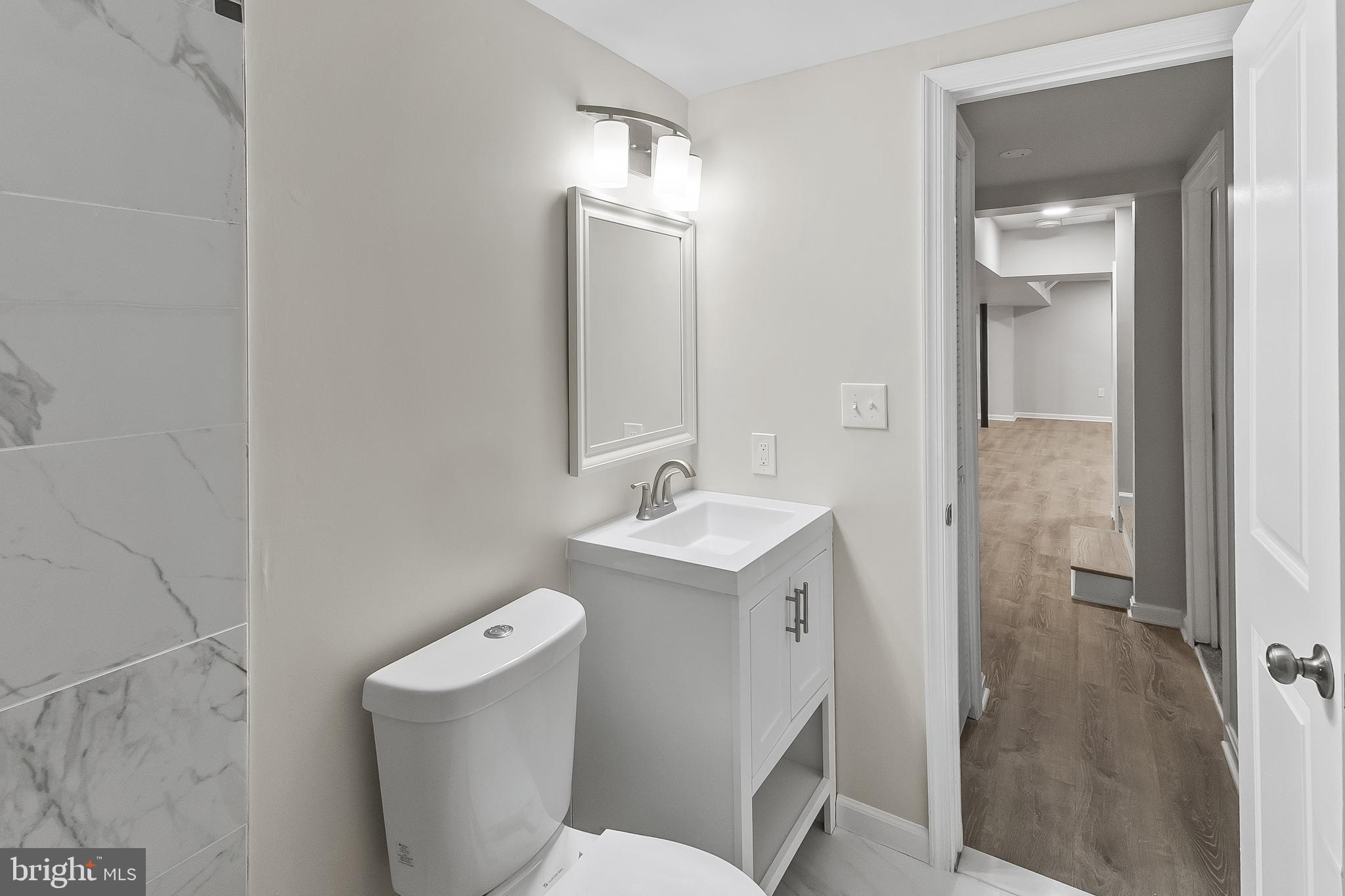 10546 Worton Road Worton, MD 21678 - Photo 28 of 33 a bathroom with a sink a toilet and shower