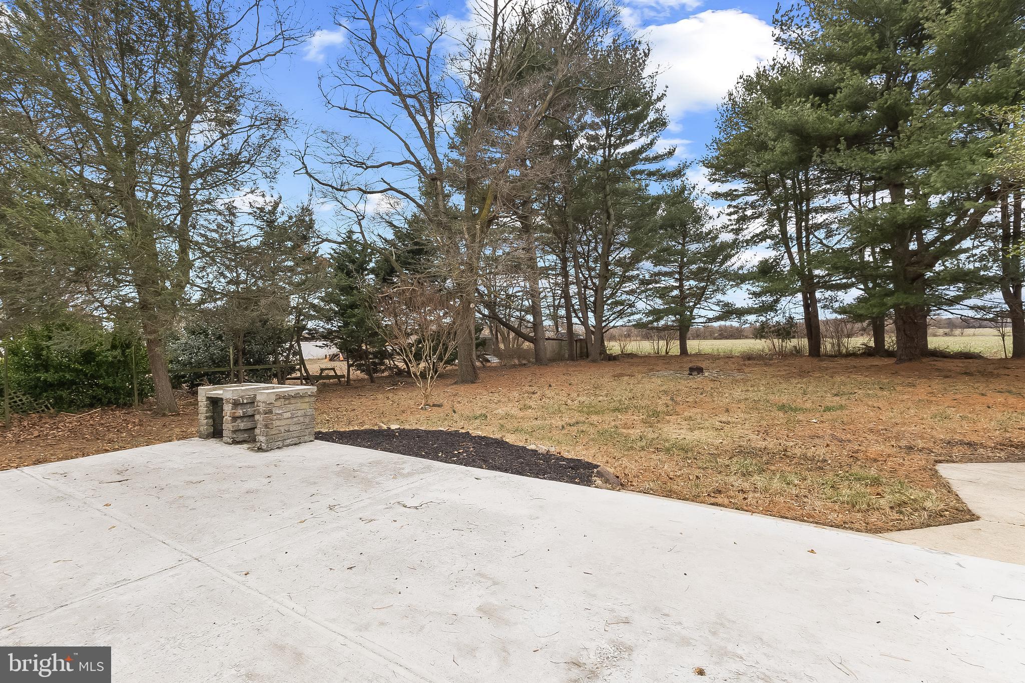 10546 Worton Road Worton, MD 21678 - Photo 30 of 33 a view of a yard with a tree