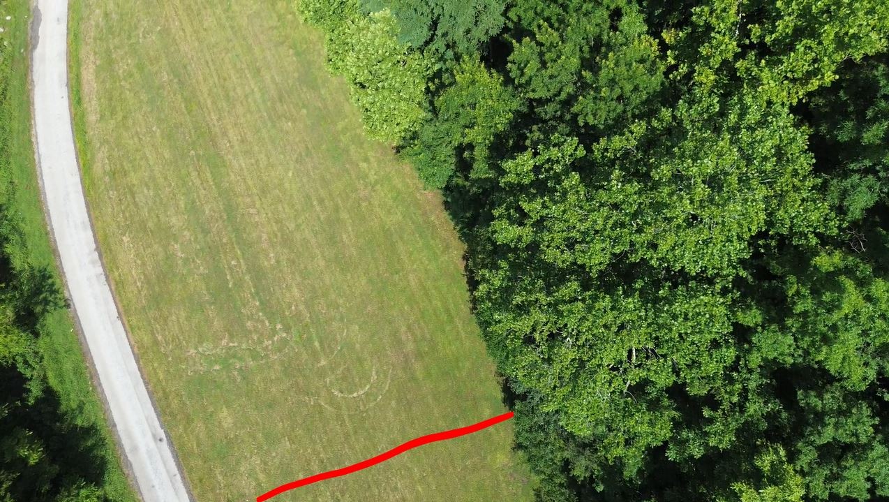 0 Hackett Hollow Road Pleasant Shade, TN 37145 - Photo 2 of 11