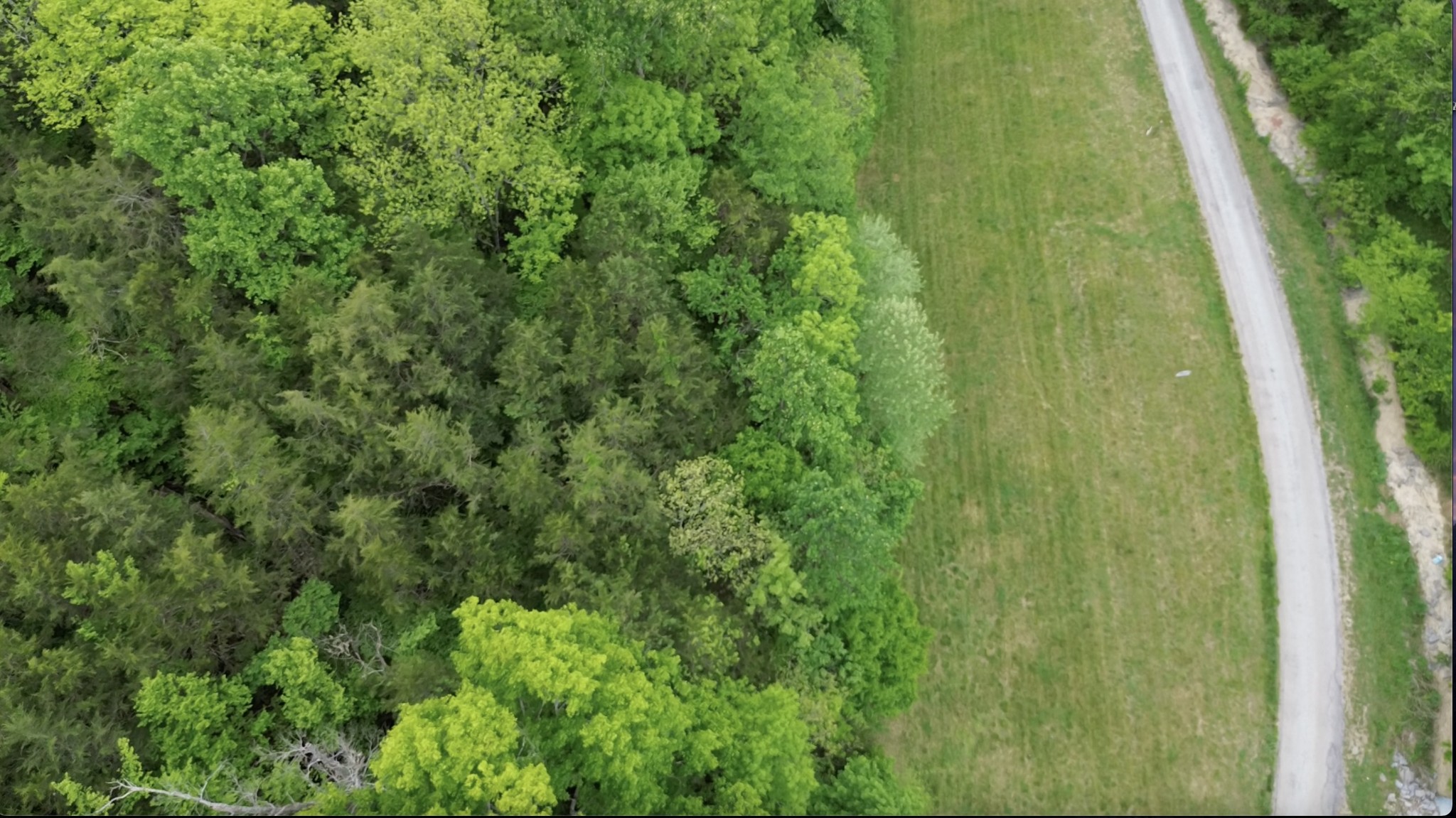 0 Hackett Hollow Road Pleasant Shade, TN 37145 - Photo 5 of 11