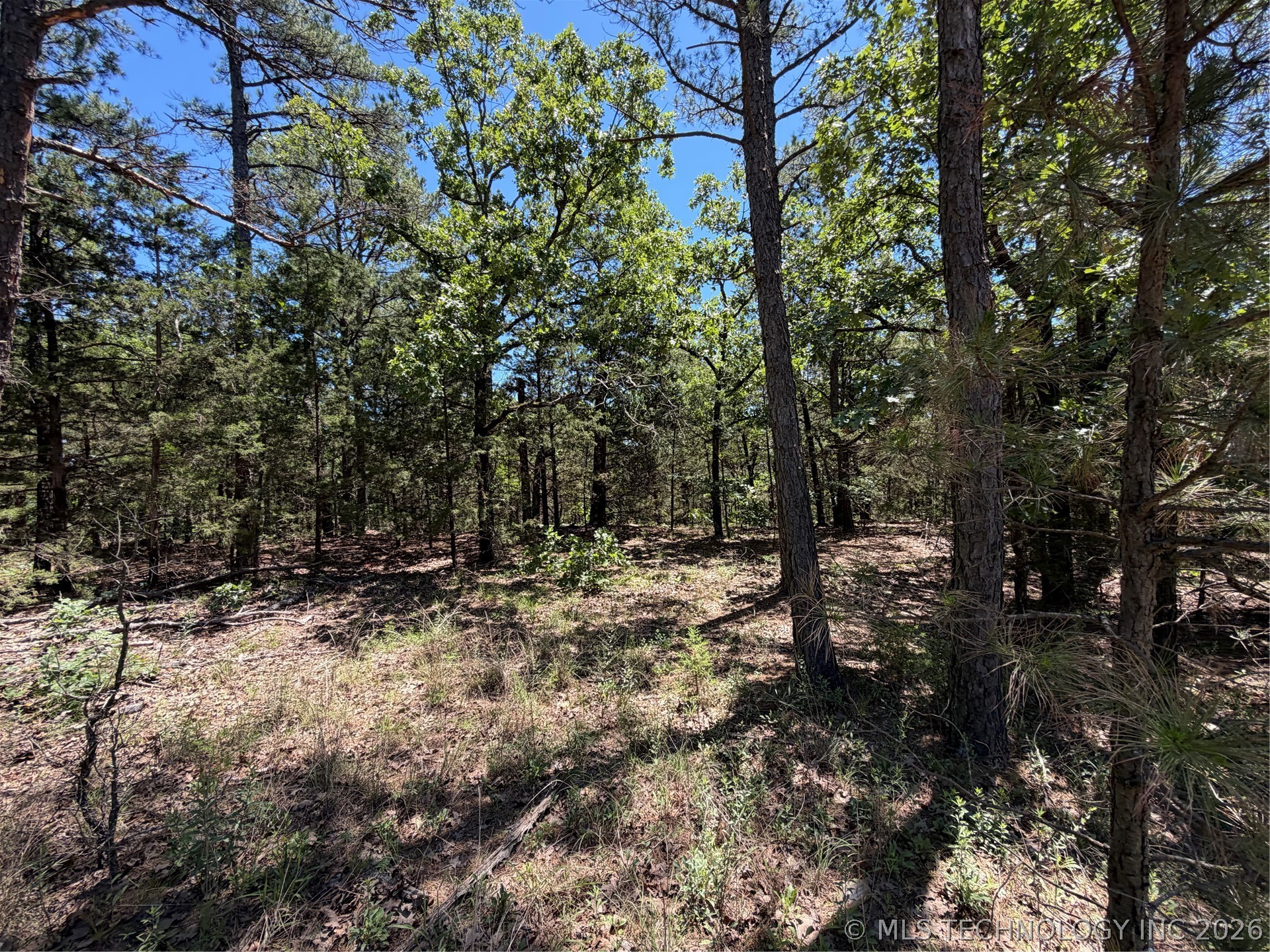 John's Valley Road Moyers, OK 74557 - Photo 11 of 17 Wooded lot featuring mature trees and natural ground cover