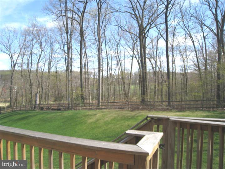 3830 Green Ridge Road Furlong, PA 18925 - Photo 21 of 24 Back Yard