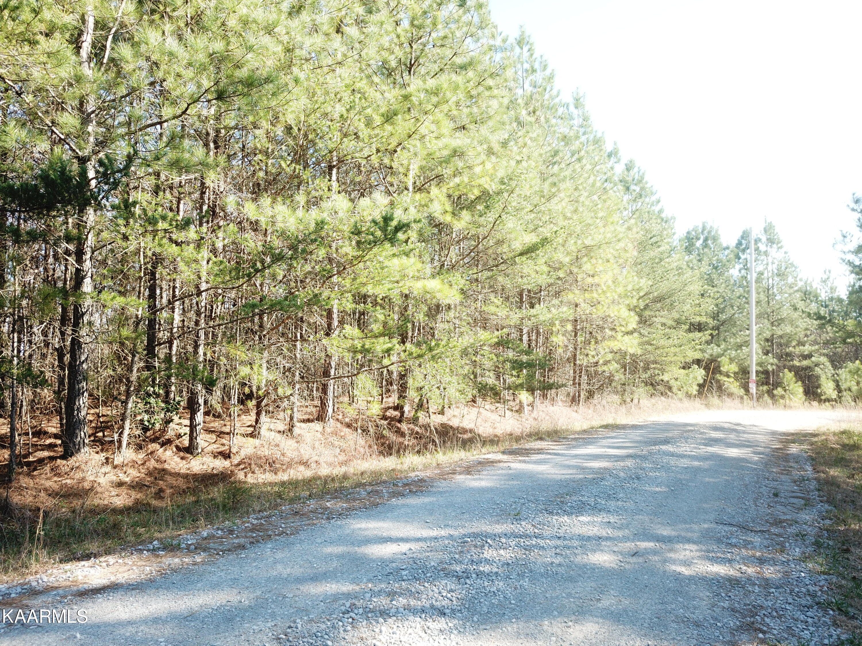 Taylors Chapel Road Crossville, TN 38572 - Photo 1 of 12 DJI_0098