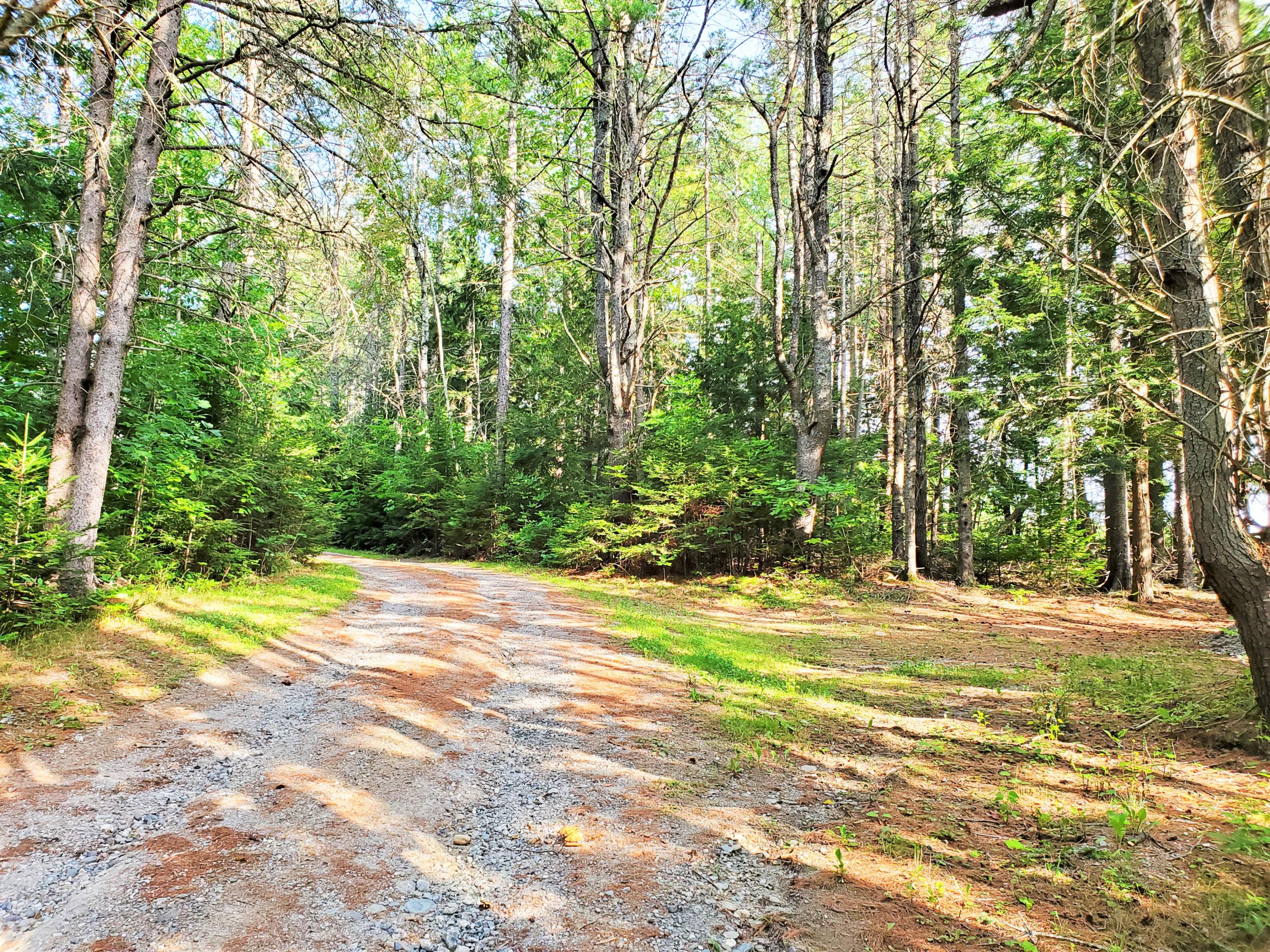 726 Johnson Mill Road Orrington, ME 04474 - Photo 34 of 40 20200807_172908