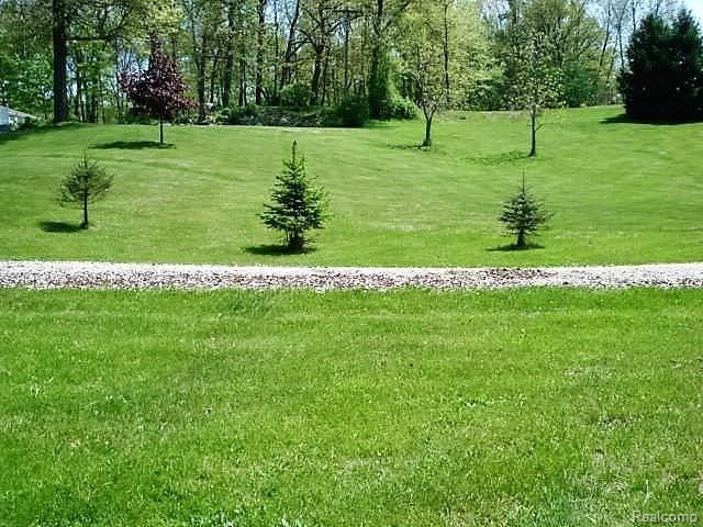 5375 Bullard Road Fenton, MI 48430 - Photo 11 of 43 Backyard