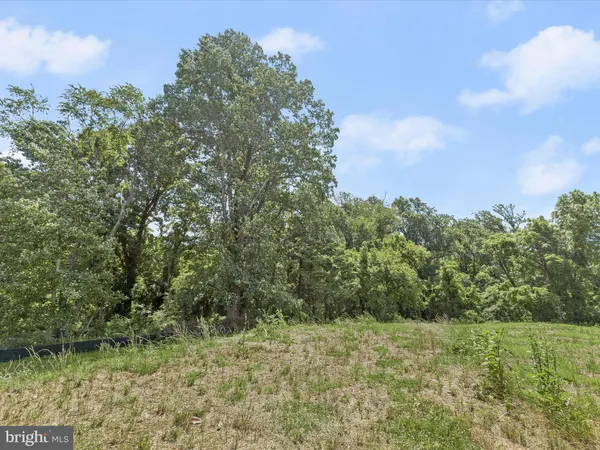 a view of a lush green space