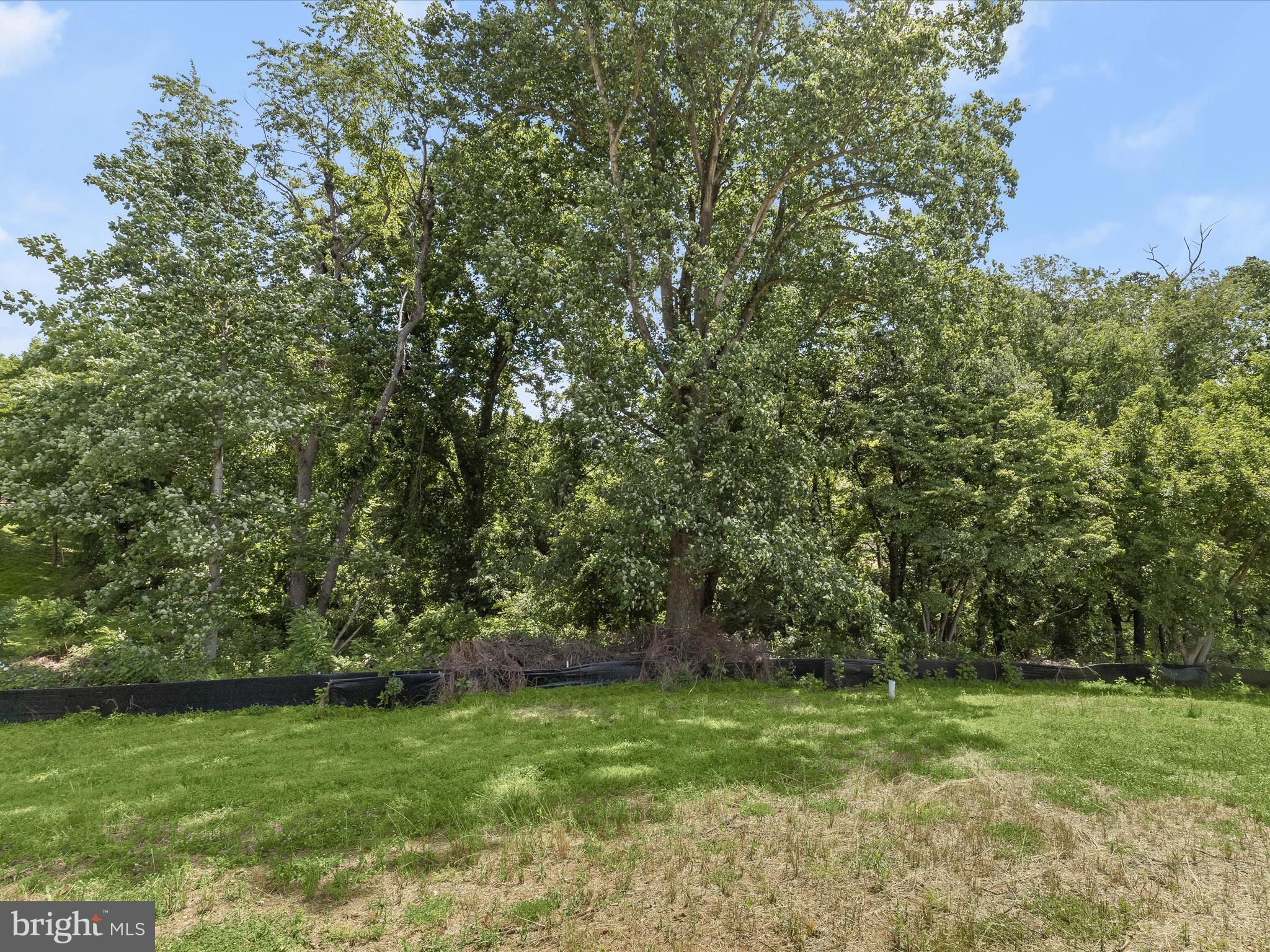6317 Guilford Road Clarksville, MD 21029 - Photo 12 of 28 a view of a grassy field