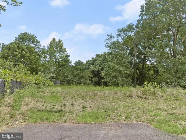 a view of a field with trees in the background