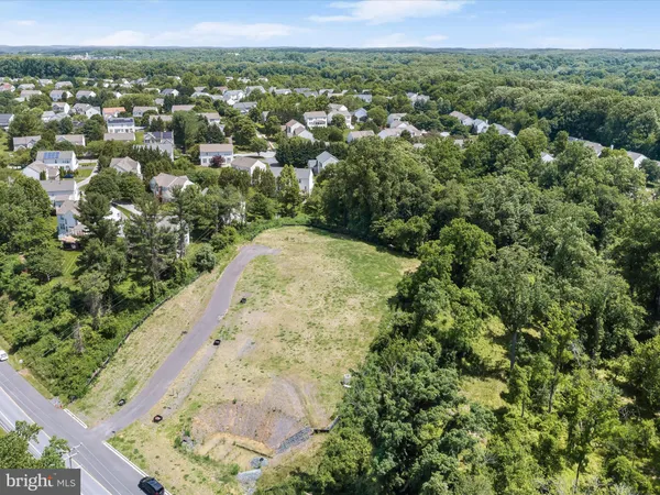 a view of a field with a forest
