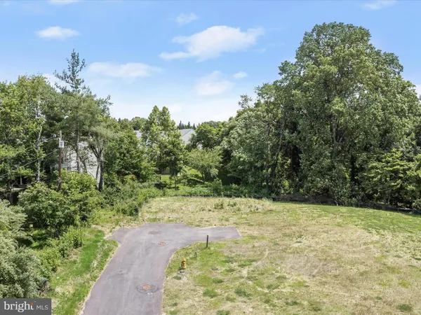 a view of a yard with trees