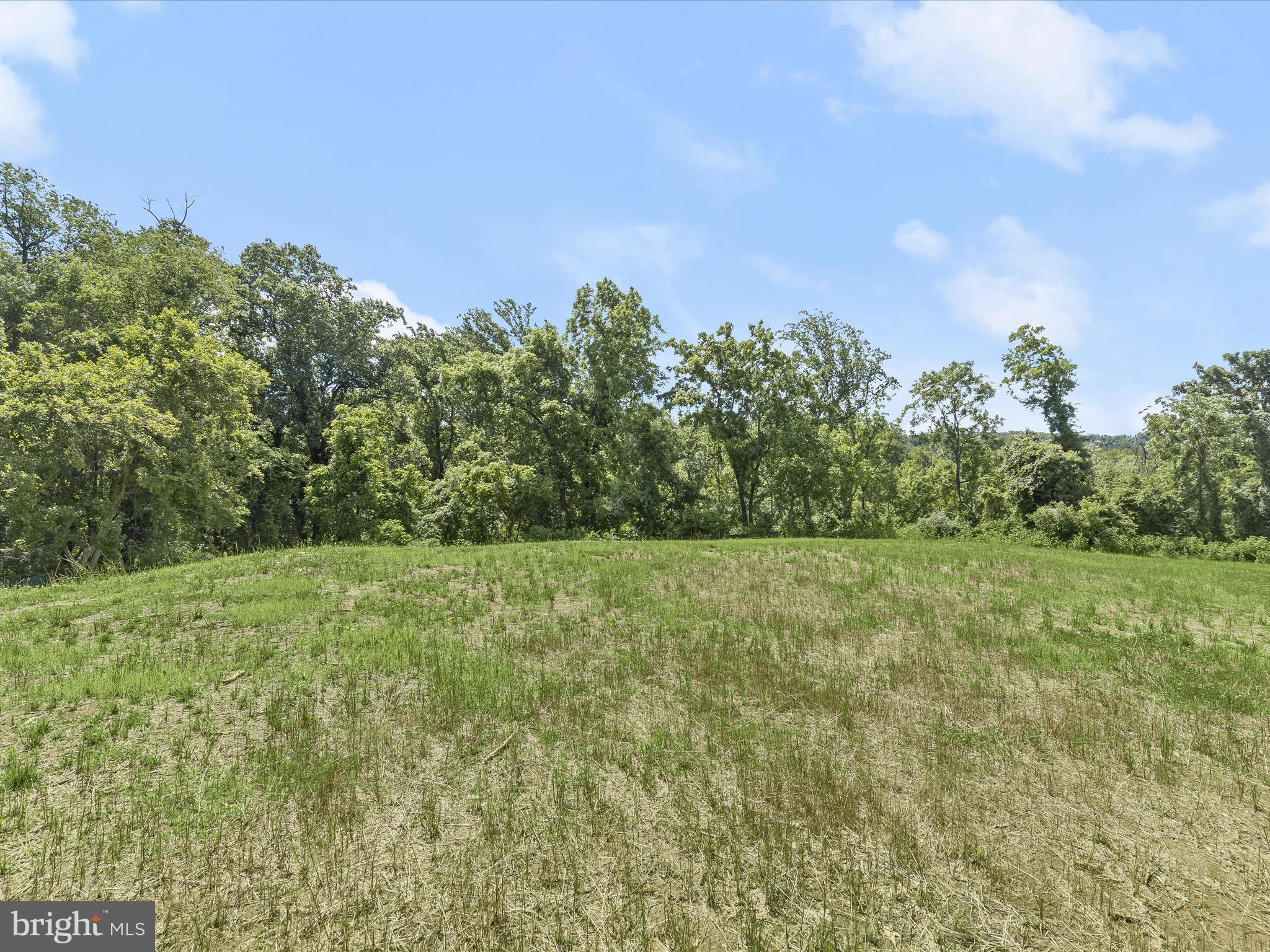 6317 Guilford Road Clarksville, MD 21029 - Photo 10 of 28 a view of a yard with an trees