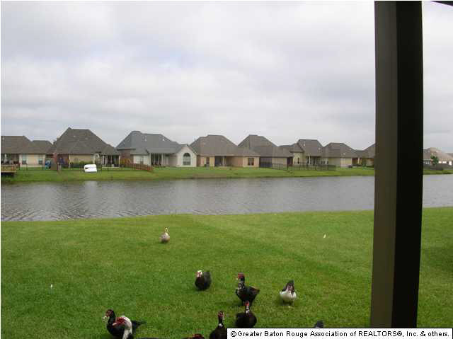 10707 Springtree Avenue Baton Rouge, LA 70810 - Photo 4 of 21 Gallery Image 4