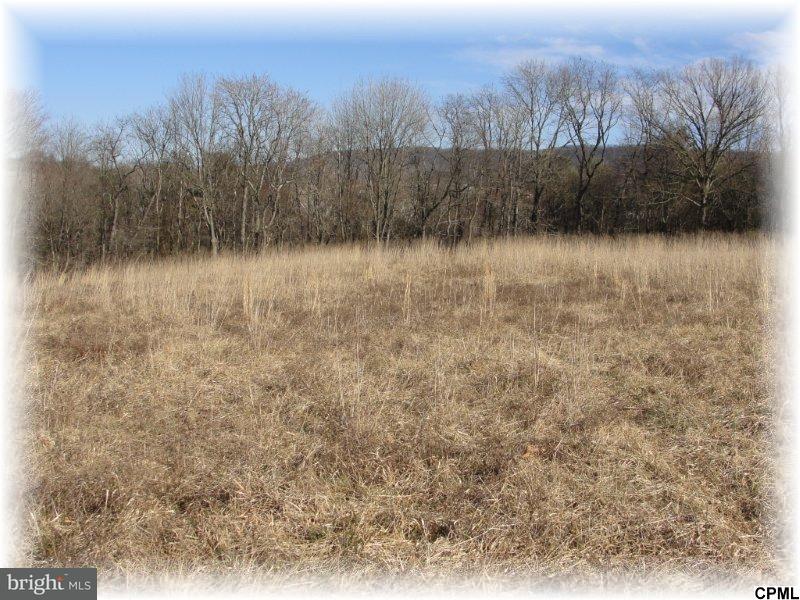 Lot 2 Gambers Corner Road Duncannon, PA 17020 - Photo 1 of 1 Gallery Image 1