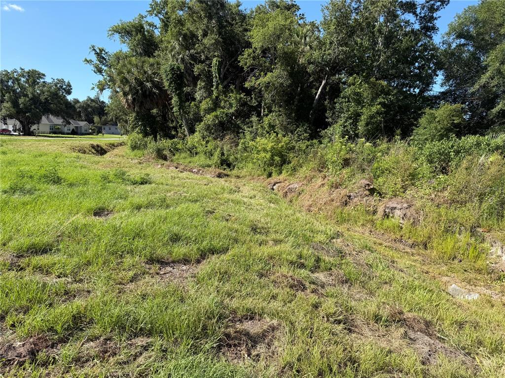Dossey Road South Lakeland, FL 33811 - Photo 8 of 10 a view of a lush green space