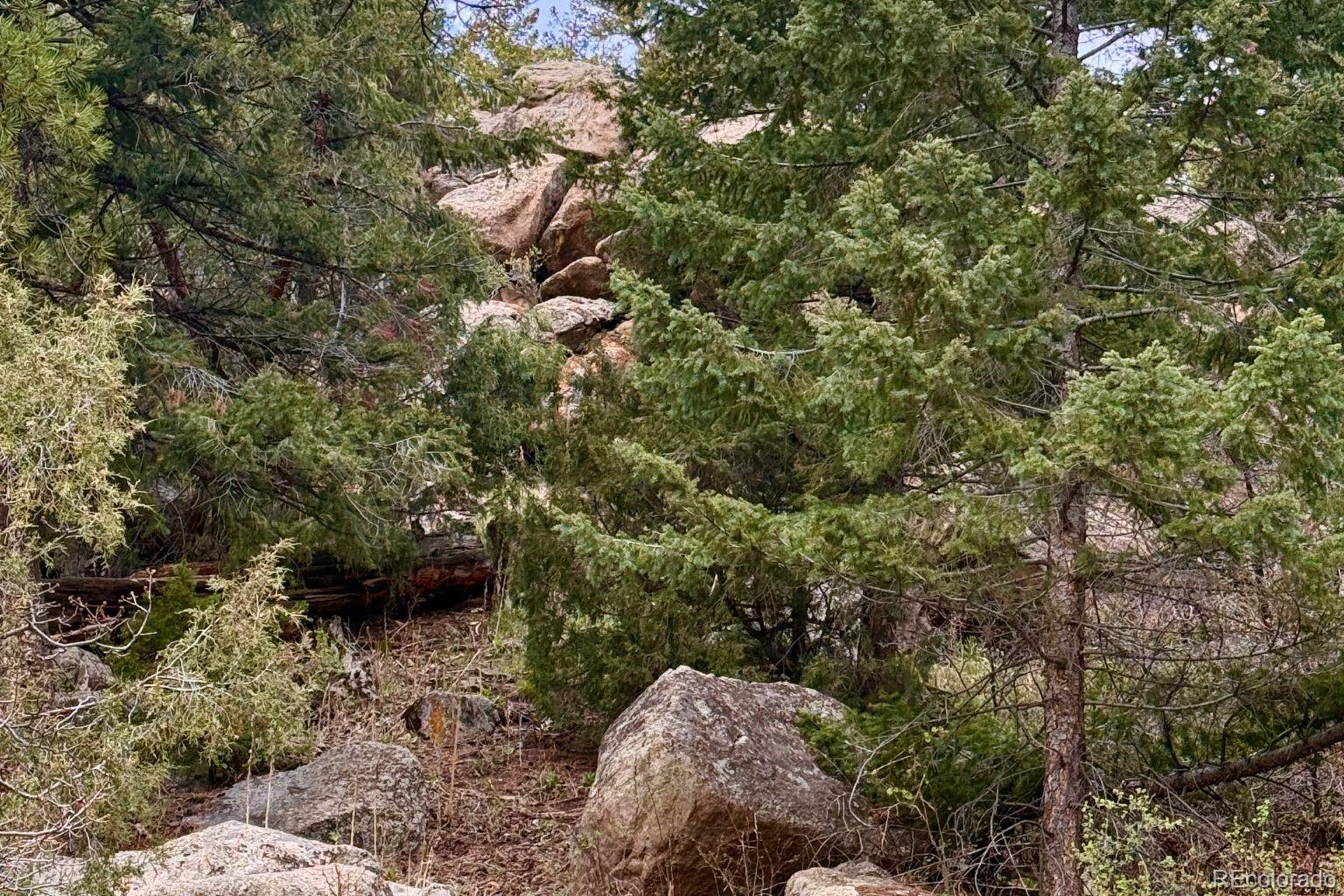 25845 Wilkerson Road Conifer, CO 80433 - Photo 15 of 16