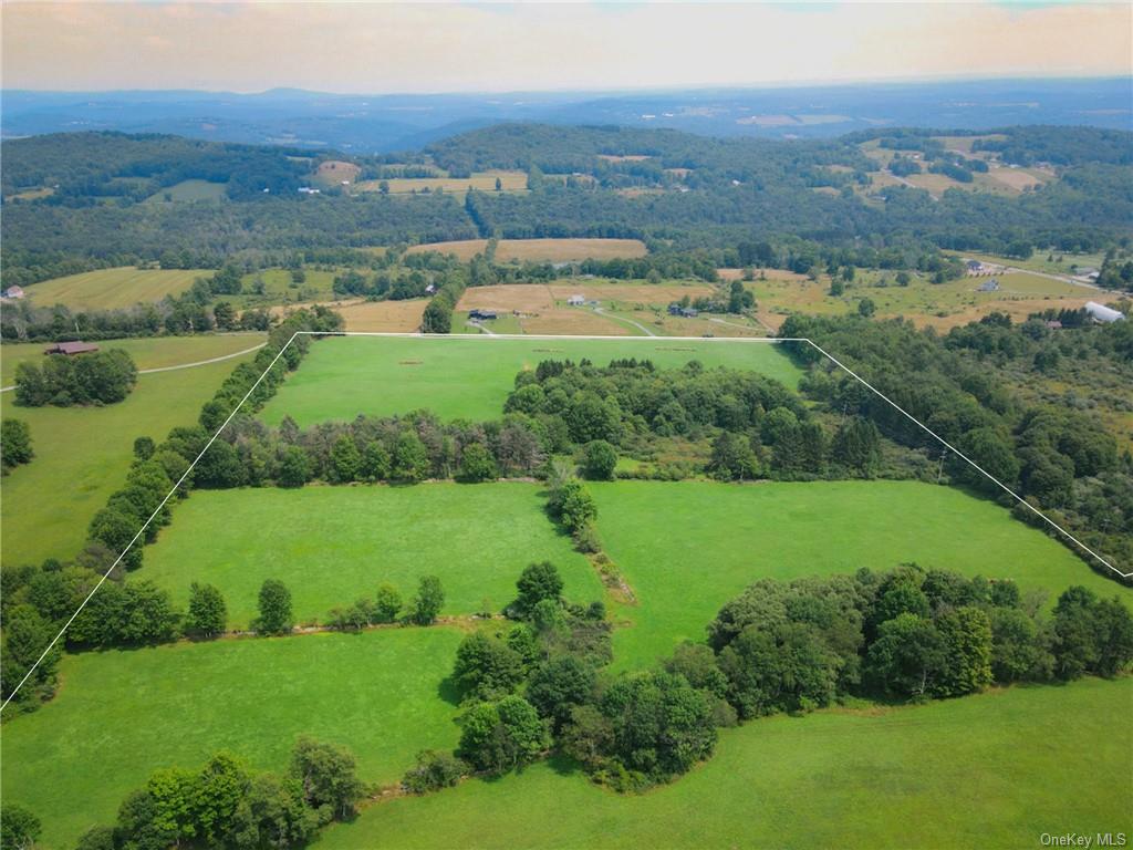 1 Kratz Road Callicoon, NY 12723 - Photo 2 of 5