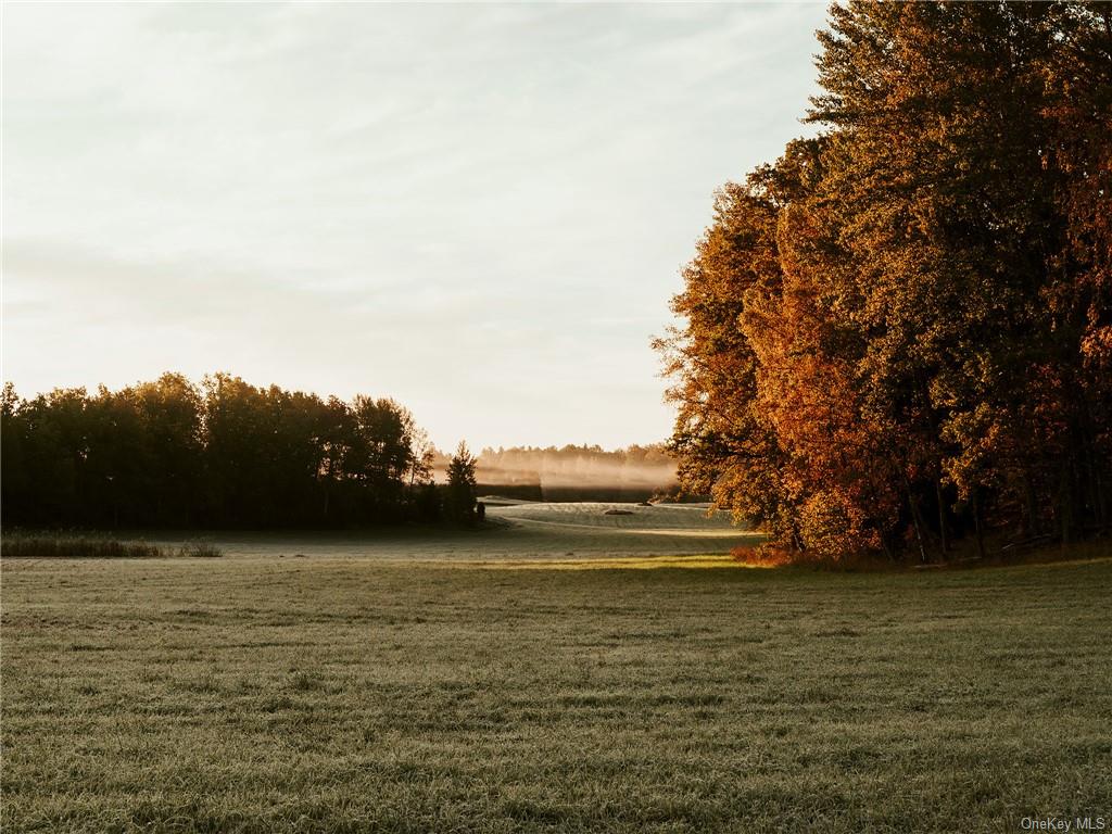 1 Kratz Road Callicoon, NY 12723 - Photo 3 of 5