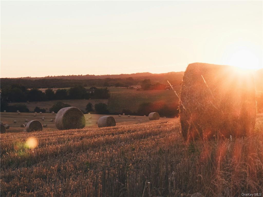 1 Kratz Road Callicoon, NY 12723 - Photo 5 of 5