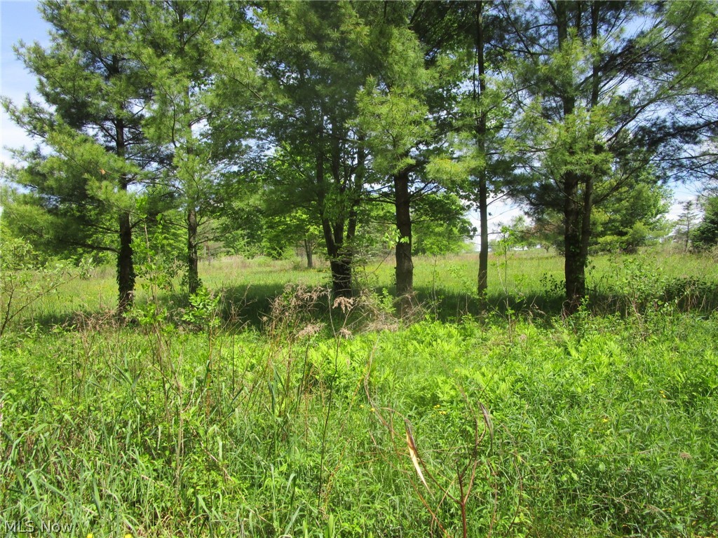 Vl Doyle Road Jefferson, OH 44047 - Photo 36 of 42