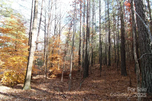 $140,000 | 5-ac Bookout Road, McConnells, SC 29726