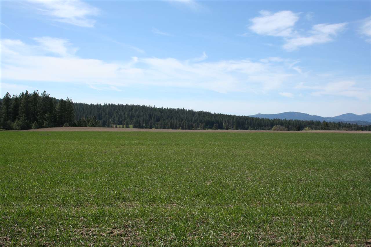 1200 West Half Moon Road, Unit LOT C Colbert, WA 99005 - Photo 3 of 19