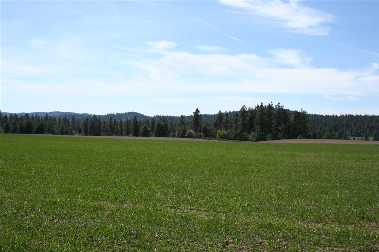1200 West Half Moon Road, Unit LOT C Colbert, WA 99005 - Photo 4 of 19