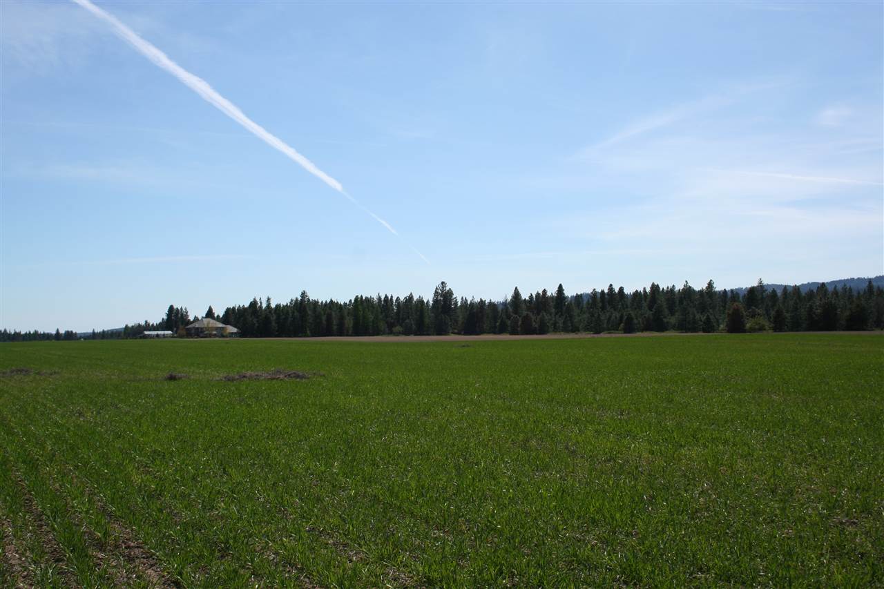 1200 West Half Moon Road, Unit LOT C Colbert, WA 99005 - Photo 5 of 19