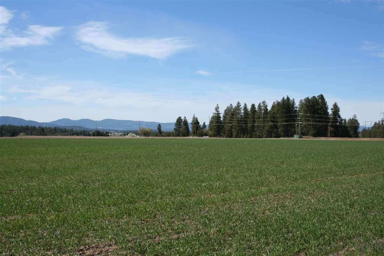1200 West Half Moon Road, Unit LOT C Colbert, WA 99005 - Photo 6 of 19