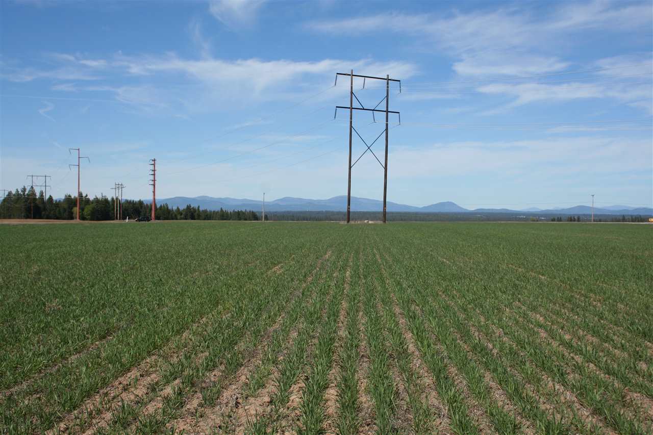 1200 West Half Moon Road, Unit LOT C Colbert, WA 99005 - Photo 8 of 19