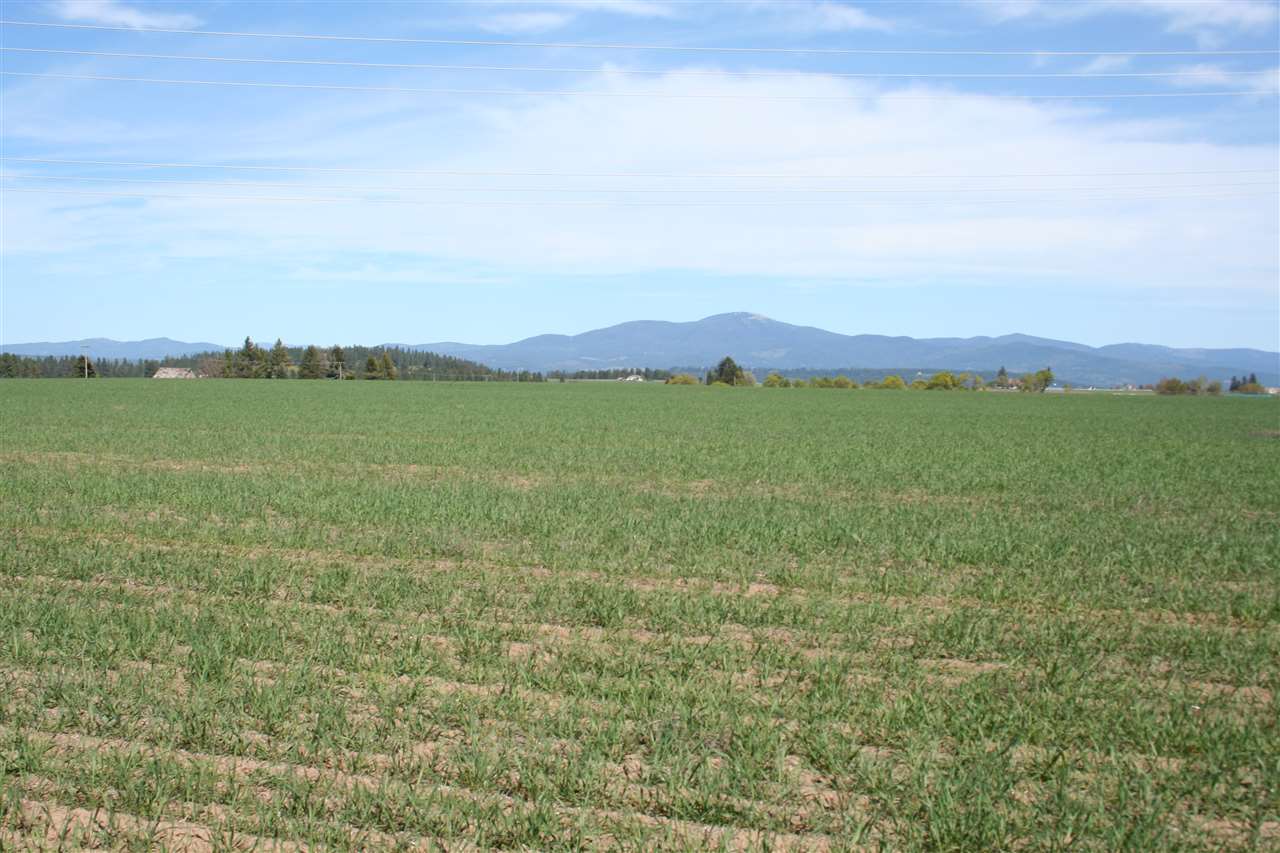 1200 West Half Moon Road, Unit LOT C Colbert, WA 99005 - Photo 9 of 19