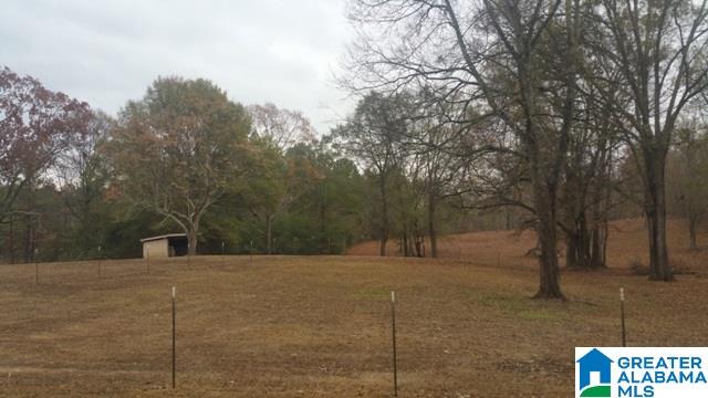 250 Nixon Road Cropwell, AL 35054 - Photo 46 of 49