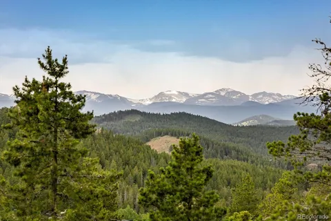 a view of a lake in middle of the forest