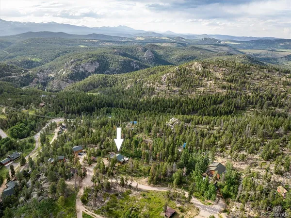 a view of a lush green forest with mountains in the background