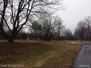 0 Tallulah Road Pinckney, MI 48169 - Photo 3 of 4