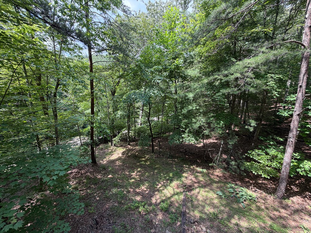 1253 Tipton Springs Road Morganton, GA 30560 - Photo 25 of 48