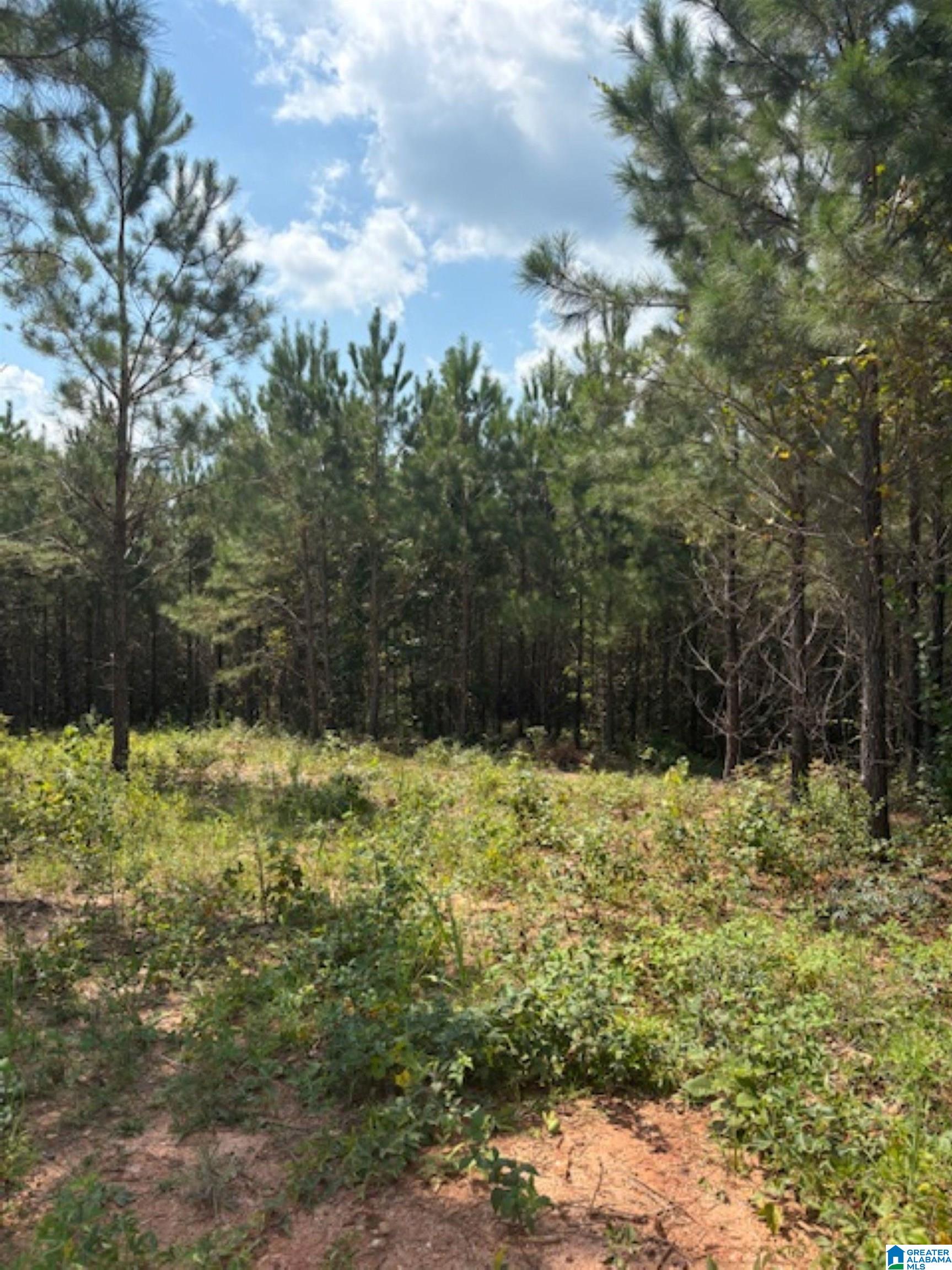 472 County Road, Unit 2 Clanton, AL 35045 - Photo 3 of 10