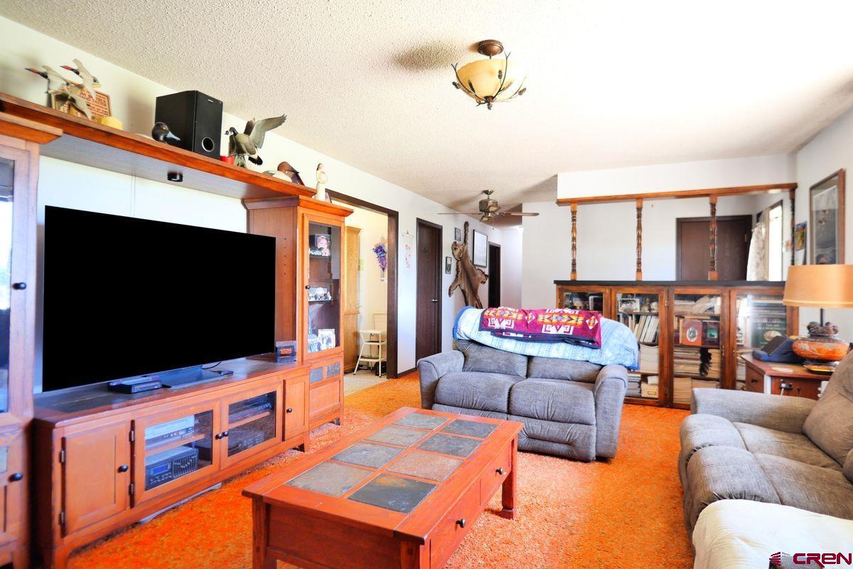 20979 Jarvis Road Austin, CO 81410 - Photo 4 of 14