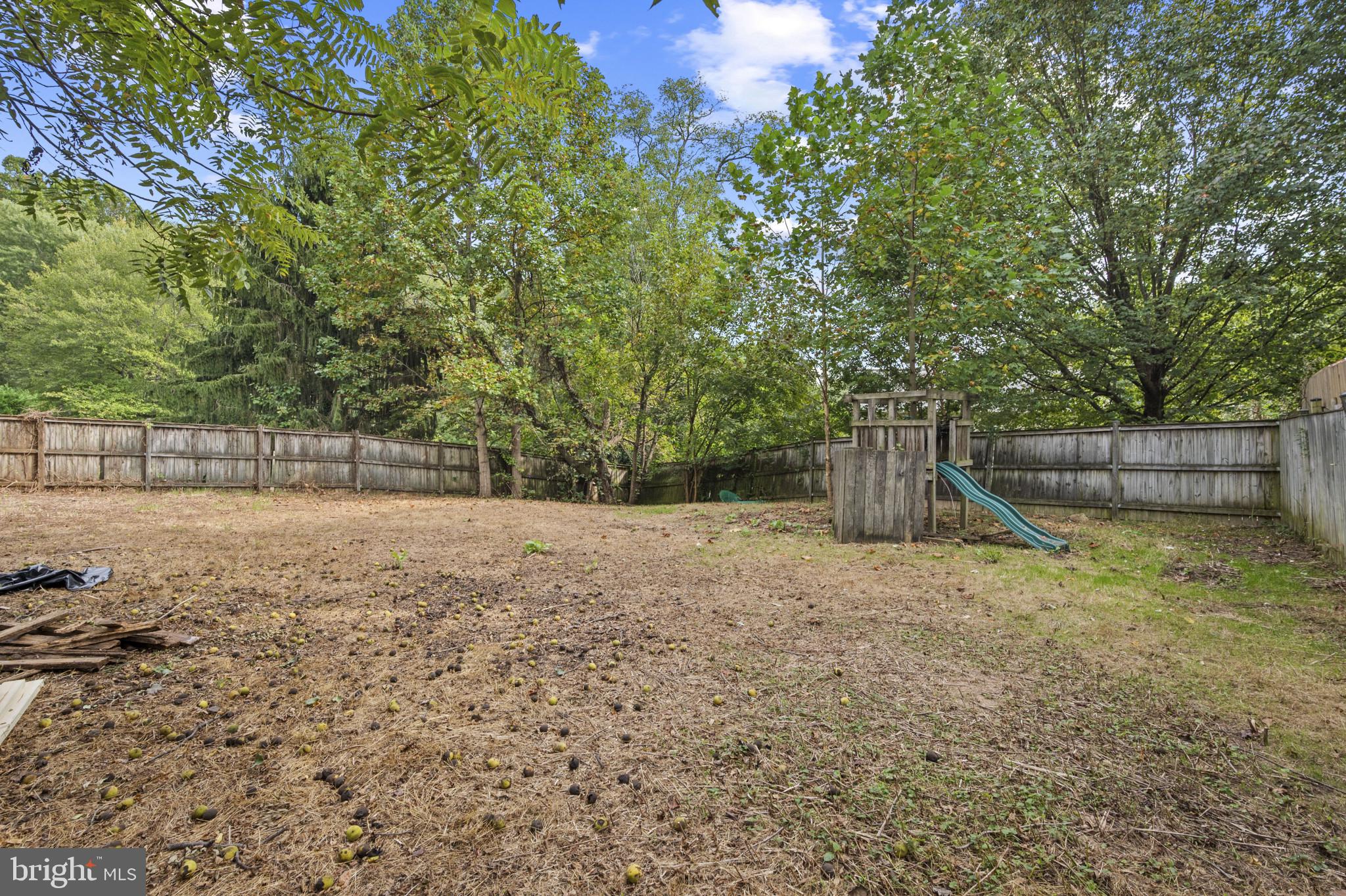 2017 Serpentine Terrace Silver Spring, MD 20904 - Photo 23 of 25 Large rear yard