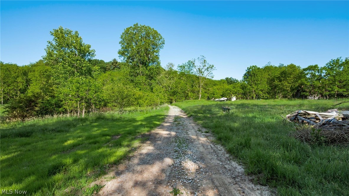 5911 Reform Road Northeast Newark, OH 43055 - Photo 5 of 19 Gravel drive accessing expansive grassy areas with mature trees