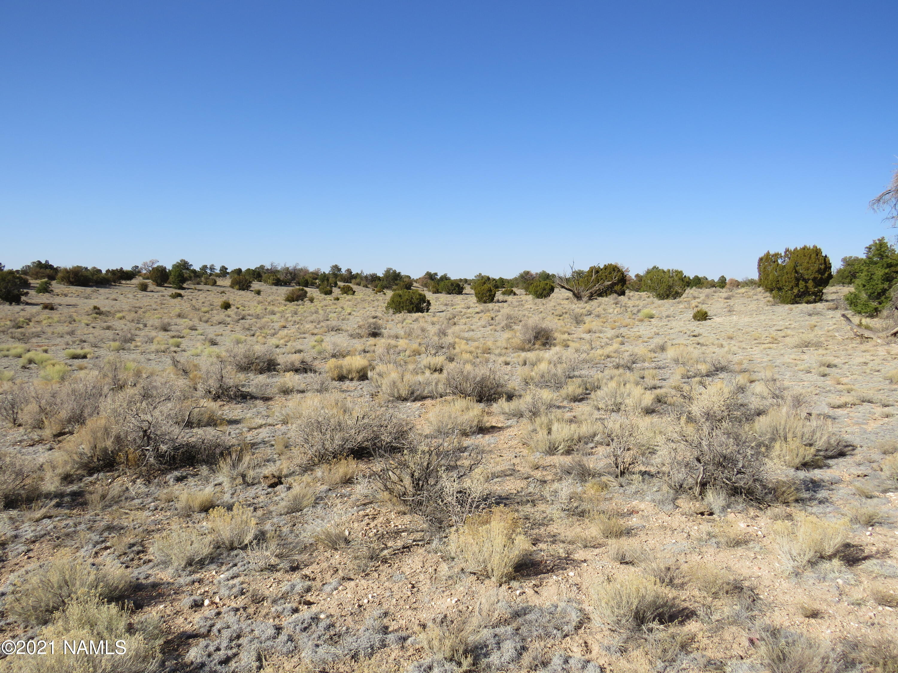 3413 North Peakview Road Williams, AZ 86046 - Photo 6 of 18 IMG_0310