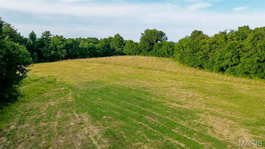 575 Schleeper Hollow Road Hardin, IL 62047 - Photo 9 of 61