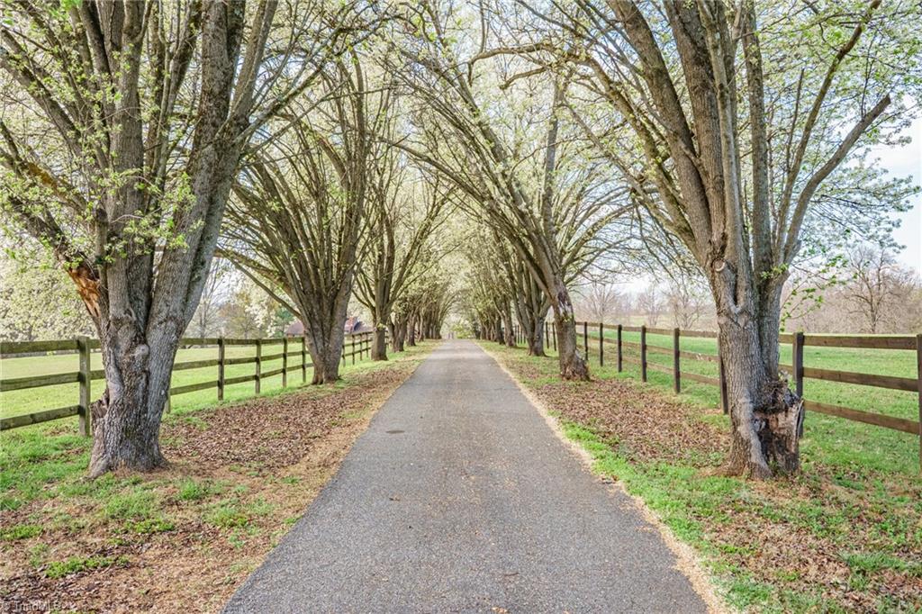 1924 Buck Shoals Road Hamptonville, NC 27020 - Photo 11 of 46 Driveway