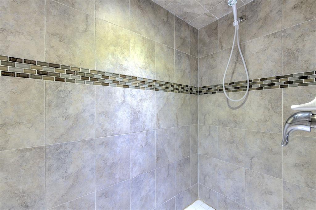 27528 Desert Willow Way Wesley Chapel, FL 33544 - Photo 15 of 24 a close view of a shower in a bathroom